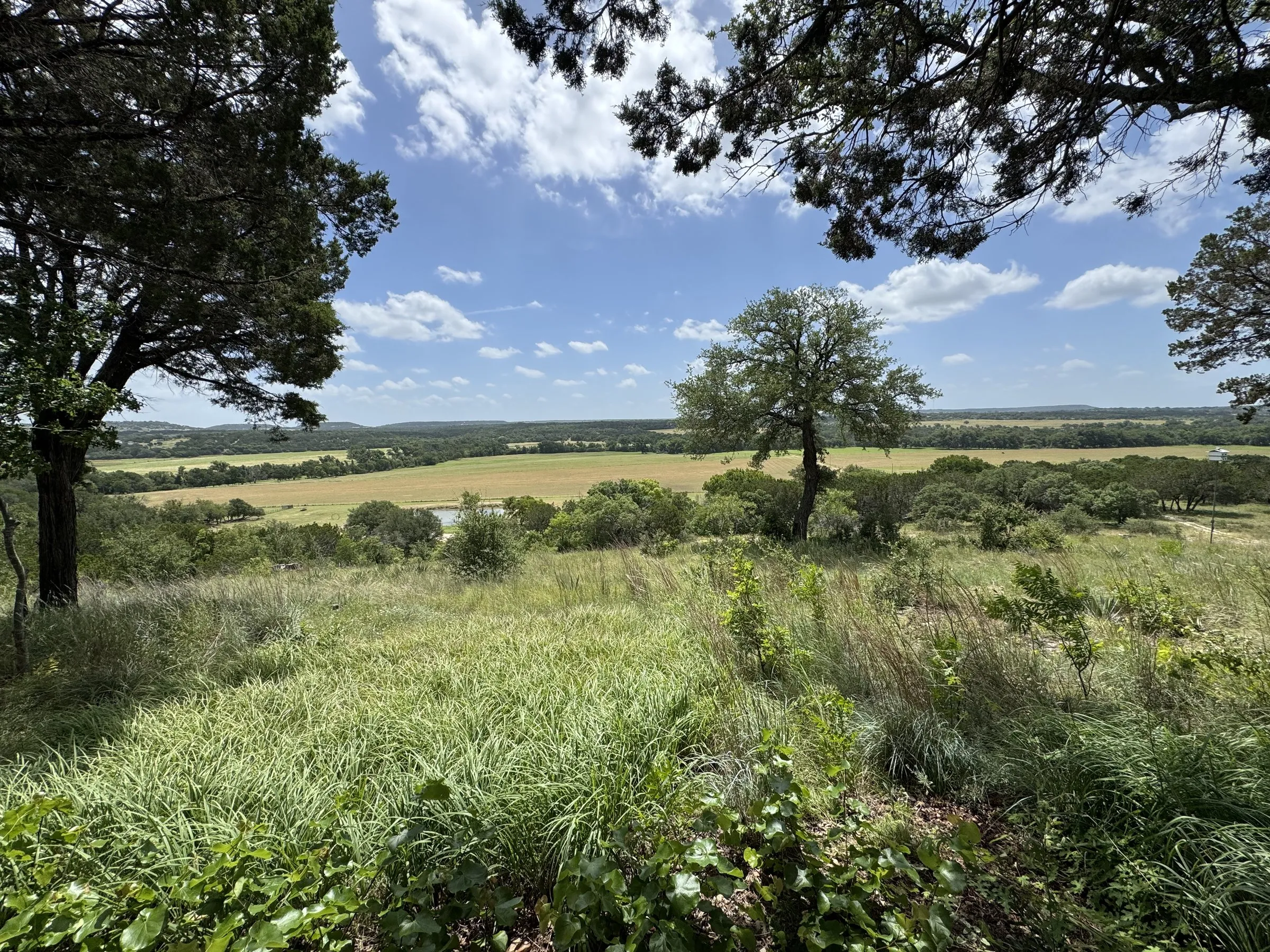 Hill Country pasture at late afternoon. Oak frame, live water in the middle distance.